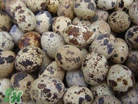 孕婦吃鵪鶉蛋會(huì)長斑嗎？孕婦吃鵪鶉蛋好還是雞蛋好？