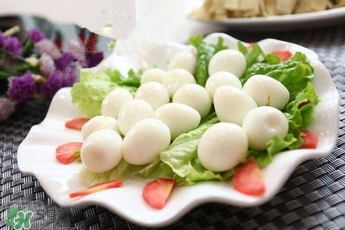 鵪鶉蛋和雞蛋哪個(gè)營(yíng)養(yǎng)價(jià)值高？鵪鶉蛋怎么選購(gòu)？