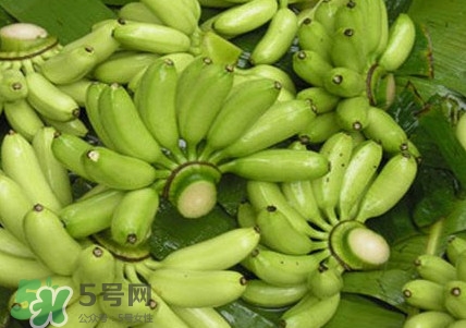 芭蕉如何保存時(shí)間久？青芭蕉摘下來怎么保存