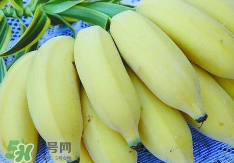 芭蕉里面的黑籽是什么？芭蕉是草本類還是木本類