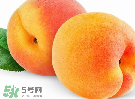 芭蕉和桃子能一起吃嗎？芭蕉可以和桃子一起吃嗎