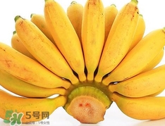 皇帝蕉是芭蕉嗎？皇帝蕉和芭蕉的區(qū)別