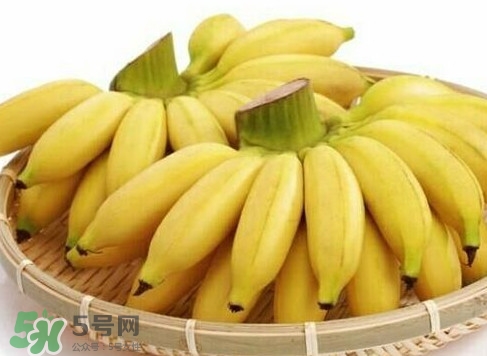 皇帝蕉是芭蕉嗎？皇帝蕉和芭蕉的區(qū)別