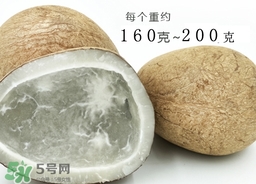 椰皇怎么打開(kāi)_椰皇怎么打開(kāi)圖解 椰皇怎么打開(kāi)_椰皇怎么打開(kāi)圖解