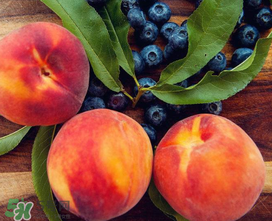 藍莓和桃子能一起吃嗎？藍莓和桃子能一塊吃嗎？