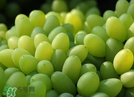 青提怎么洗？青提怎么洗才干凈？