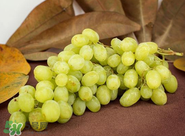 青提怎么洗？青提怎么洗才干凈？