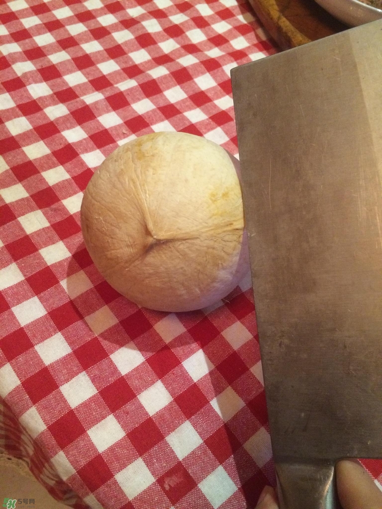 椰皇怎么打開(kāi)_椰皇怎么打開(kāi)圖解 椰皇怎么打開(kāi)_椰皇怎么打開(kāi)圖解