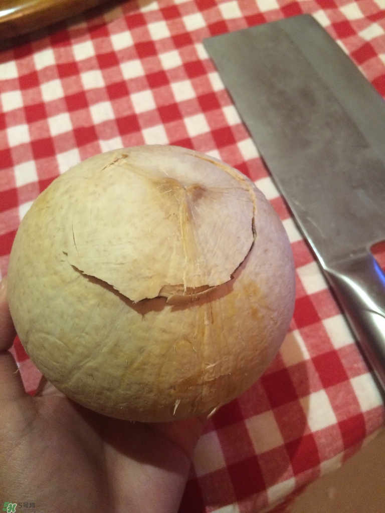 椰皇怎么打開(kāi)_椰皇怎么打開(kāi)圖解 椰皇怎么打開(kāi)_椰皇怎么打開(kāi)圖解