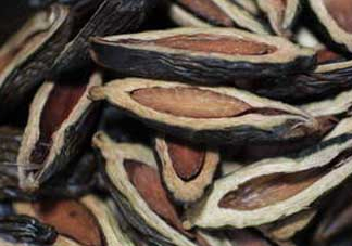 檳榔和煙哪個危害大？第一次吃檳榔什么反應(yīng)