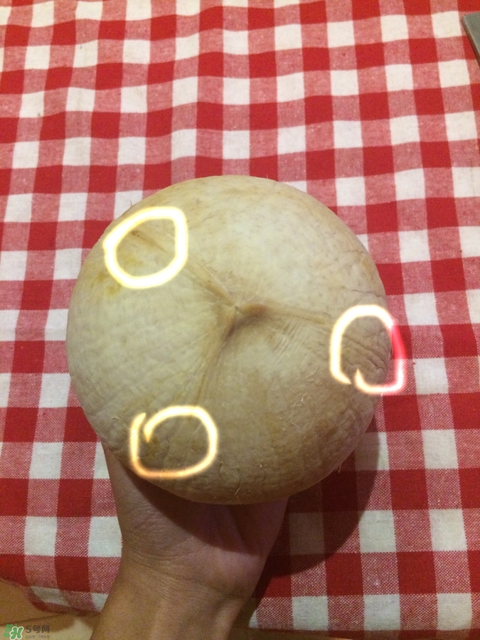 椰皇怎么打開(kāi)_椰皇怎么打開(kāi)圖解 椰皇怎么打開(kāi)_椰皇怎么打開(kāi)圖解