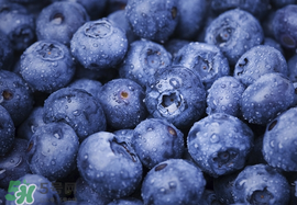 藍(lán)莓什么味道？藍(lán)莓味道是什么樣的？