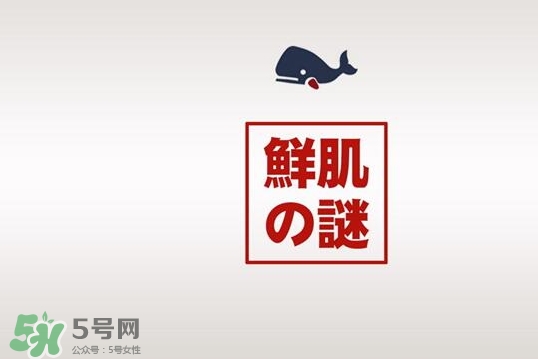 鮮肌之迷是日本的嗎？鮮肌之迷好用嗎