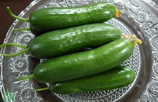 水果黃瓜是轉(zhuǎn)基因嗎？水果黃瓜的功效和作用
