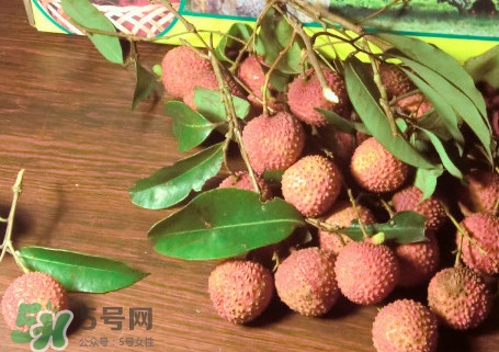 掛綠荔枝什么時(shí)候上市？掛綠荔枝什么時(shí)候成熟