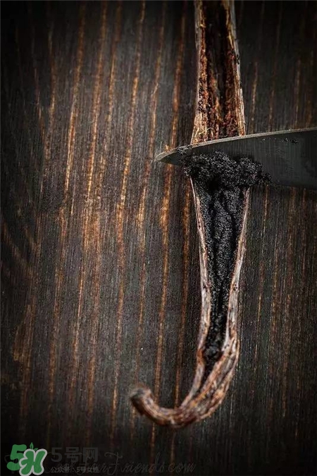 香草莢和香草精的區(qū)別 香草莢的功能 香草莢和香草精的區(qū)別 香草莢的功能