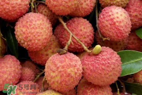 掛綠荔枝什么時(shí)候上市？掛綠荔枝什么時(shí)候成熟