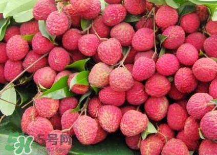 增城荔枝多少錢一斤？增城荔枝哪里的最好吃