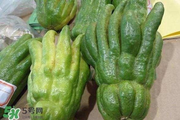 佛手與佛手瓜有什么區(qū)別？佛手與佛手鉗有什么區(qū)別
