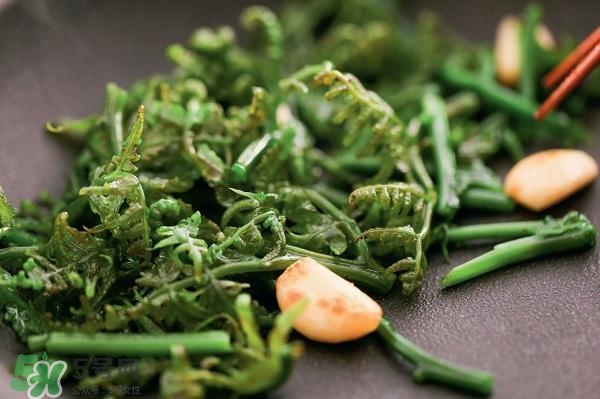 龍須菜怎么清洗？龍須菜怎么處理？