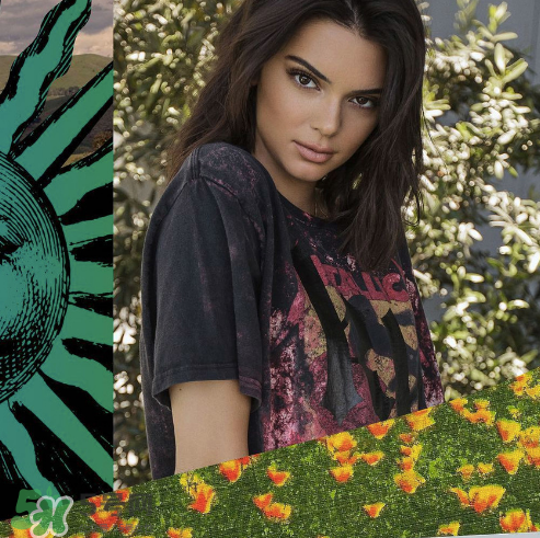 kendall kylie2017復古系列短袖t恤怎么樣_好看嗎_款式有哪些？