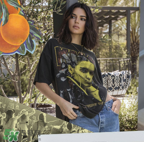 kendall kylie2017復古系列短袖t恤怎么樣_好看嗎_款式有哪些？