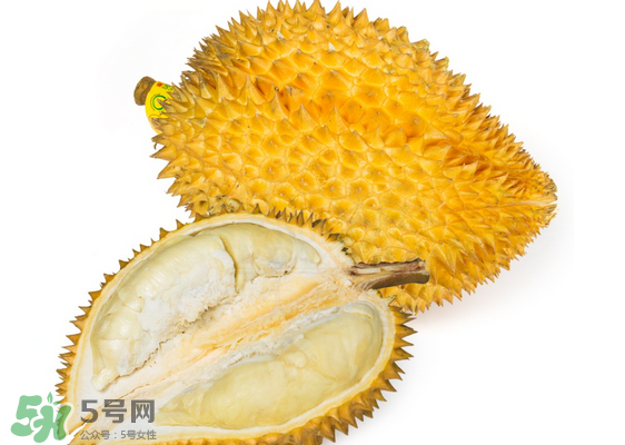 托曼尼榴蓮怎么才是熟？托曼尼榴蓮怎么看生熟？