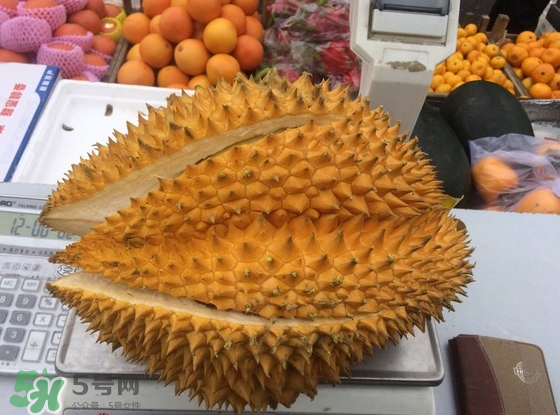 托曼尼榴蓮怎么才是熟？托曼尼榴蓮怎么看生熟？