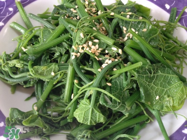 龍須菜怎么清洗？龍須菜怎么處理？