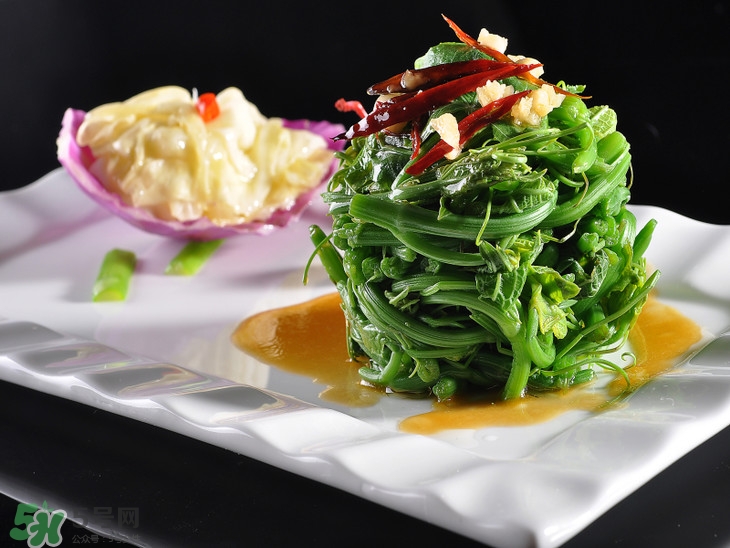 龍須菜有幾種？龍須菜多少錢一斤？