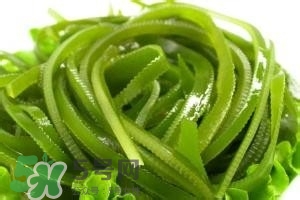 鮮海帶怎么做好吃？鮮海帶怎么保存？