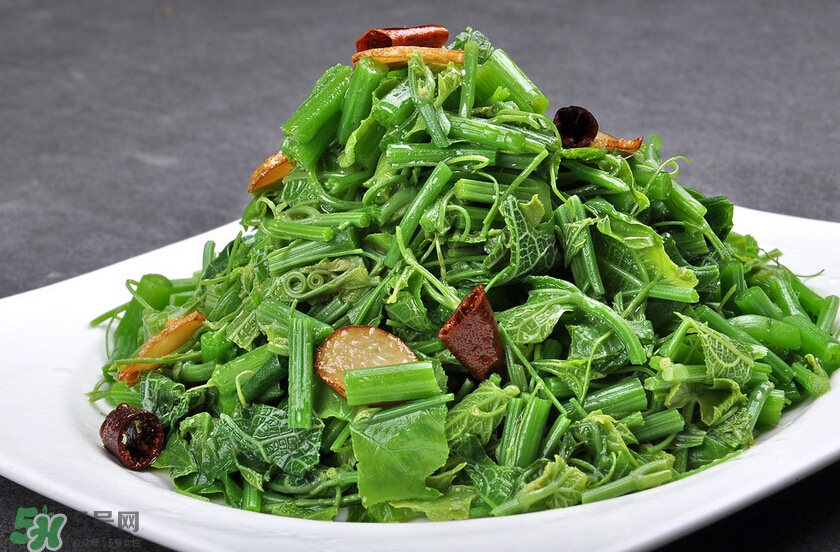 龍須菜怎么清洗？龍須菜怎么處理？