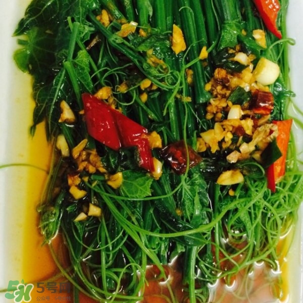 龍須菜怎么清洗？龍須菜怎么處理？