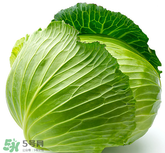 8月份吃什么蔬菜？八月份適合吃什么蔬菜？