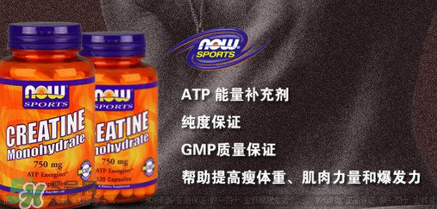 now foods肌酸說明書 now foods肌酸怎么吃 now foods肌酸說明書 now foods肌酸怎么吃