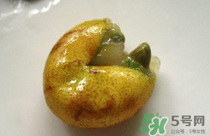 黃皮果核能治療什么?。奎S皮核的功效與作用