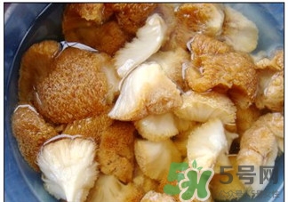 猴菇的作用 猴頭菇的功效 猴菇的作用 猴頭菇的功效