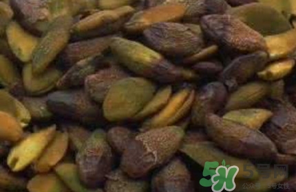 黃皮果核能治療什么??？黃皮核的功效與作用