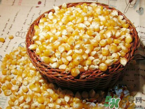 冰糖玉米種子哪里有賣(mài)？冰糖玉米種子的銷(xiāo)售地