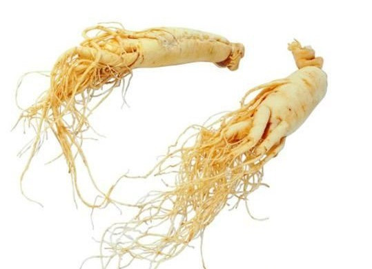 黑枸杞能和西洋參一起泡水喝嗎？黑枸杞和西洋參泡水喝的功效