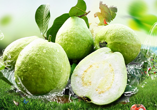 寶寶可以吃番石榴嗎？番石榴怎么吃