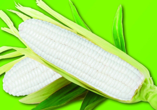 白玉米煮后變黃能吃嗎？白玉米為什么變黃了？