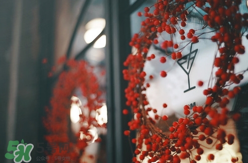 pree冰淇淋多少錢？pree冰淇淋好吃嗎？