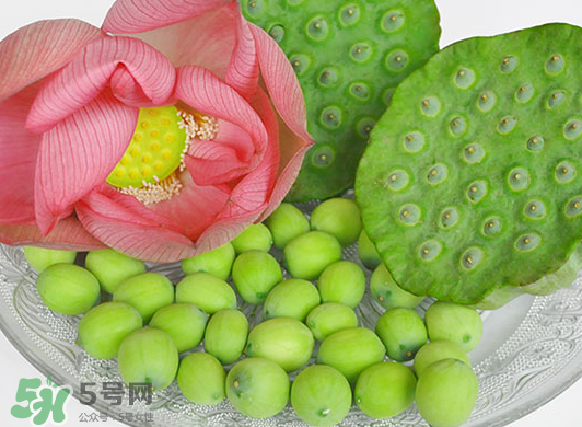 蓮蓬是水果嗎？蓮蓬是水果還是蔬菜？