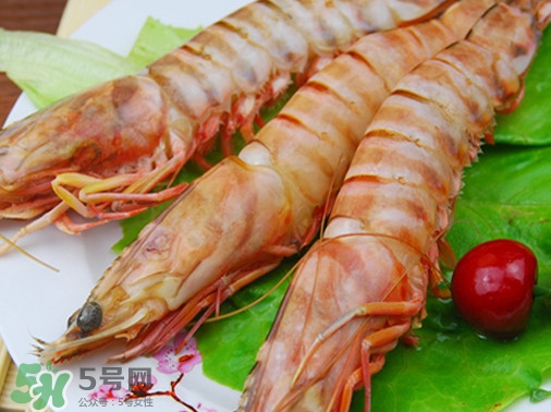 活的斑節(jié)蝦多少錢一斤？野生斑節(jié)蝦多少錢一斤