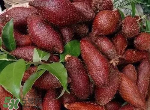 蛇皮果好吃嗎？蛇皮果多少錢一斤？