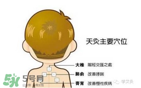 三伏灸灸哪里？三伏灸是每天都灸嗎