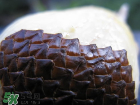 蛇皮果能生吃嗎？蛇皮果能放冰箱嗎？