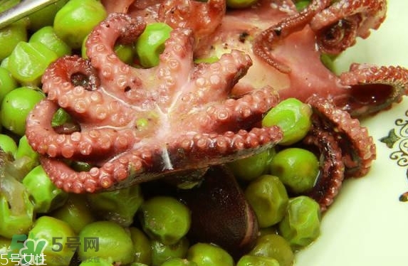 八爪魚多少錢一斤？章魚多少錢一斤