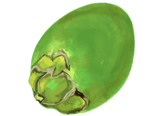 檳榔不能和什么一起吃？檳榔和什么不能一起吃？